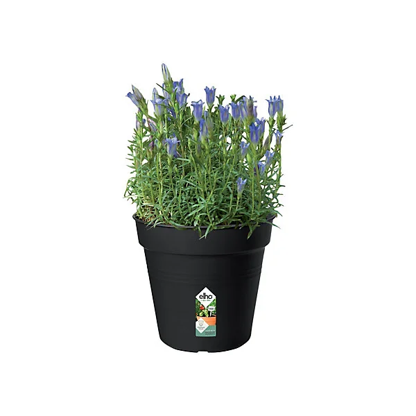 Pot de culture Green basics 17 cm living noir