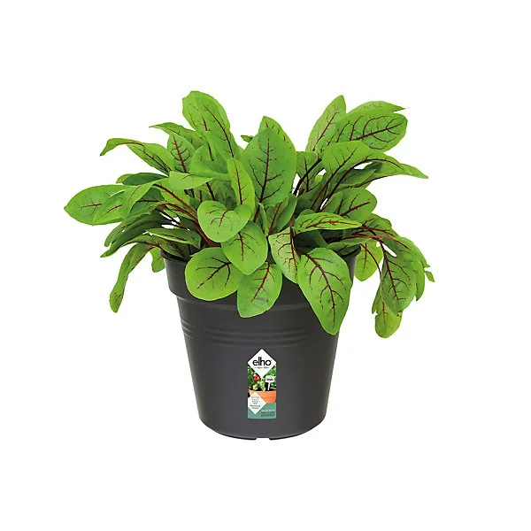 Pot de culture Green basics 19 cm living noir