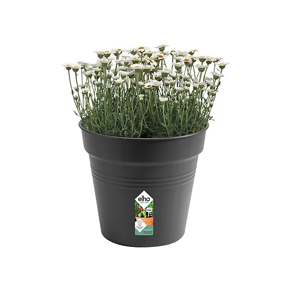 Pot de culture Green basics 30cm living noir