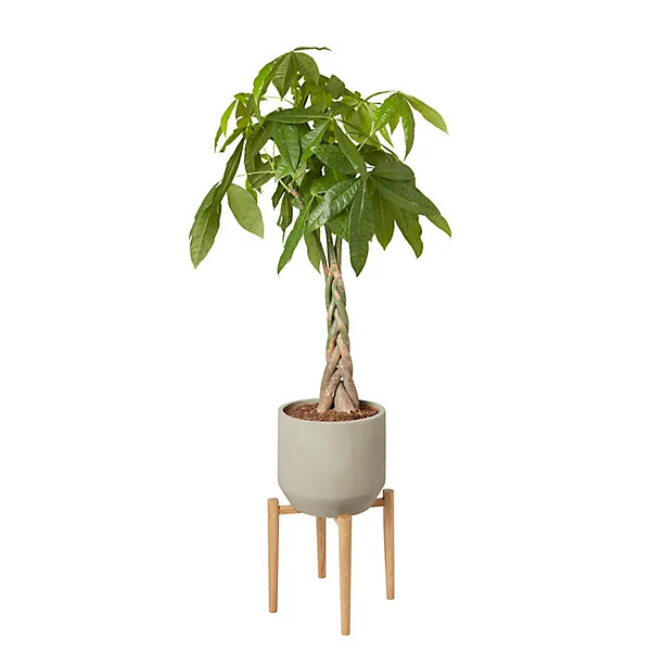 Pot de fleurs en argile cloche béton ø24 cm