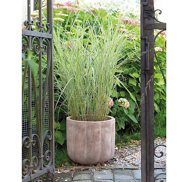 Pot de fleurs Pumpkin terre cuite marron ∅20 cm x H.18 cm Deroma