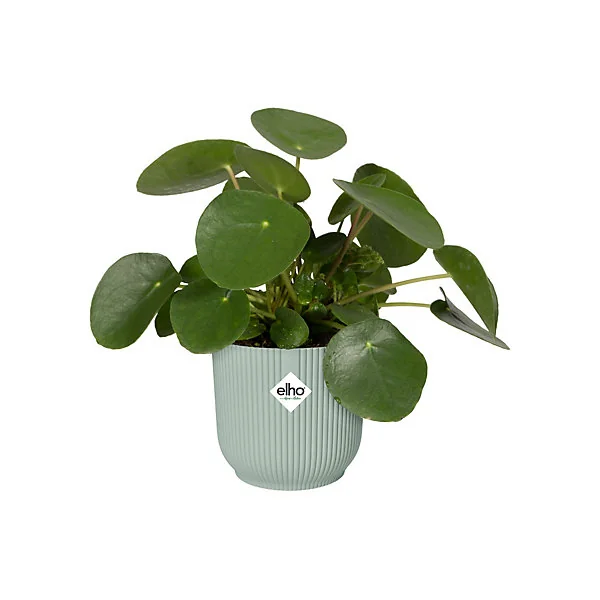 Pot de fleurs Vibes ⌀18 cm vert sorbet Elho