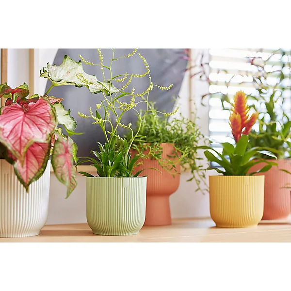 Pot de fleurs Vibes ⌀18 cm vert sorbet Elho