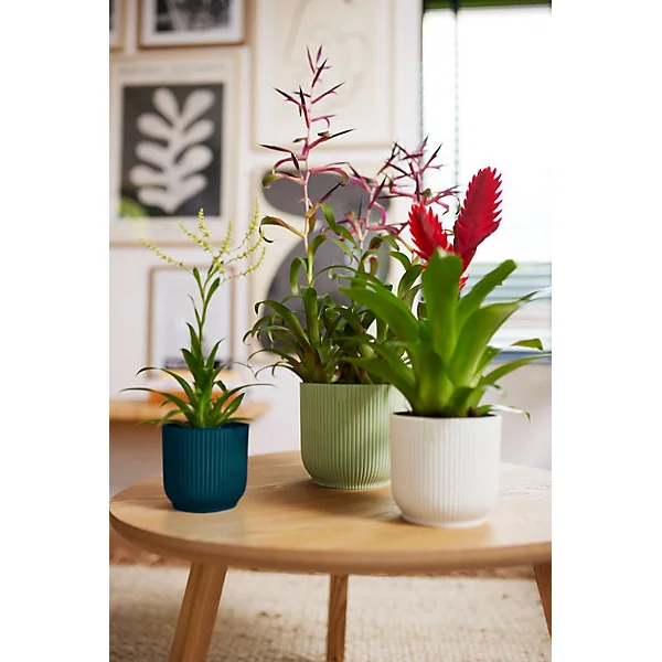 Pot de fleurs Vibes ⌀18 cm vert sorbet Elho