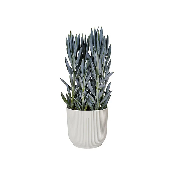 Pot de fleurs Vibes ⌀22 cm blanc soie Elho