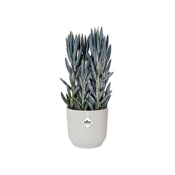 Pot de fleurs Vibes ⌀22 cm blanc soie Elho