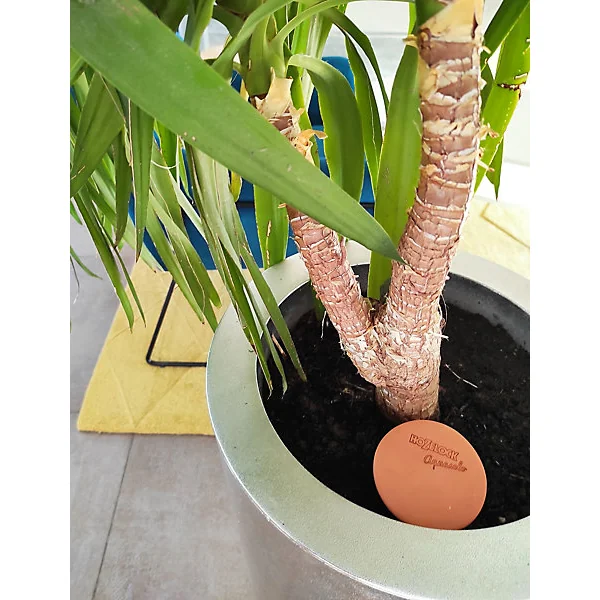 Pot en terre cuite d'arrosage Ollas Traditionnel 0.5L Hozelock