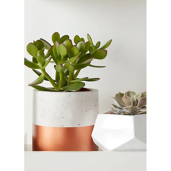 Pot Rond Béton Trempé Cuivre 12 cm GoodHome