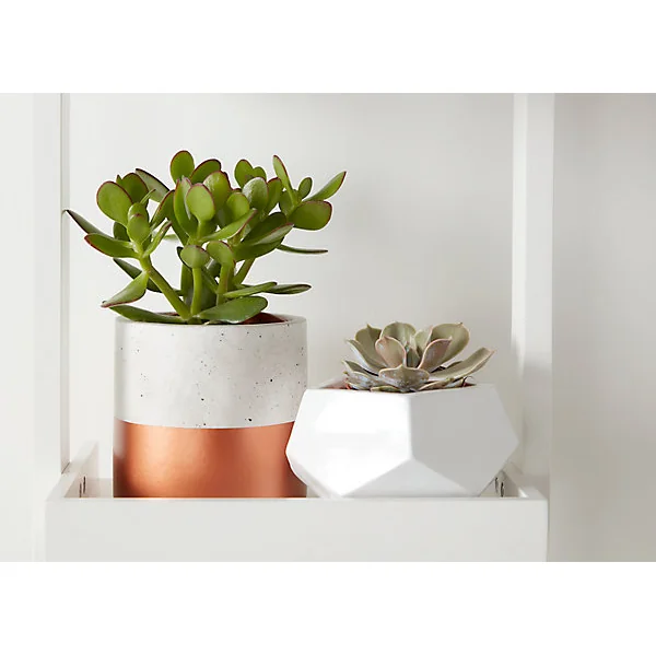 Pot Rond Béton Trempé Cuivre 12 cm GoodHome