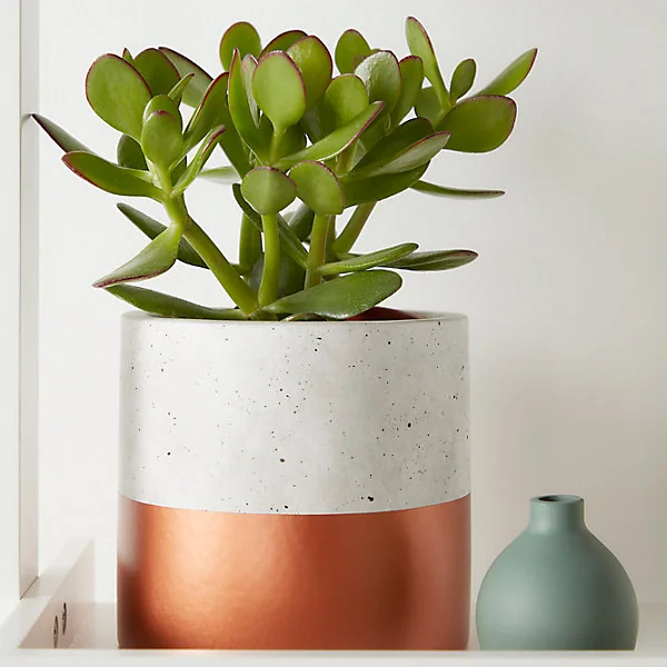 Pot Rond Béton Trempé Cuivre 12 cm GoodHome