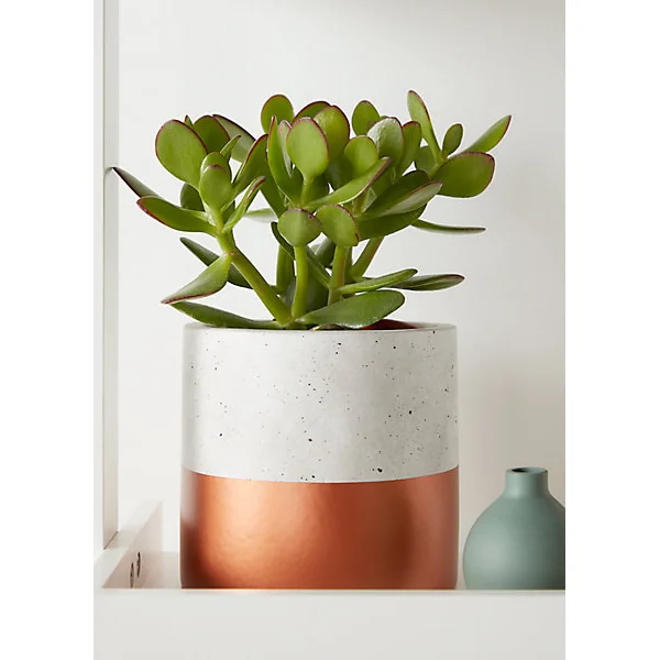 Pot Rond Béton Trempé Cuivre 12 cm GoodHome