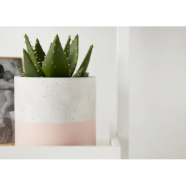 Pot Rond Béton Trempé Rose ø12 cm GoodHome