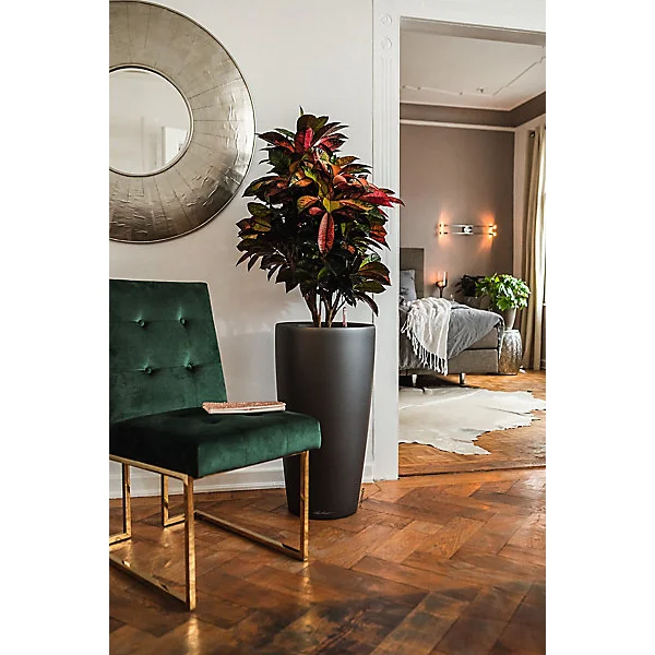 Pot rond Lechuza Premium anthracite métallisé Ø40 x h.75 cm