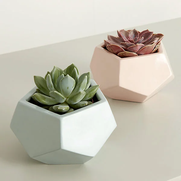 Pot rond émaillé motifs géométriques vert d’eau ø9 cm