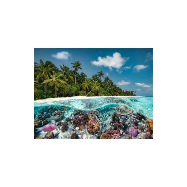 Puzzle 2000 pièces Une plongée aux Maldives - Ravensburger