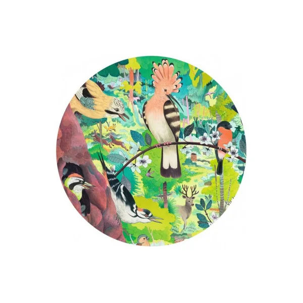 Puzzle gallery Owls and birds 1000 pièces - Djeco