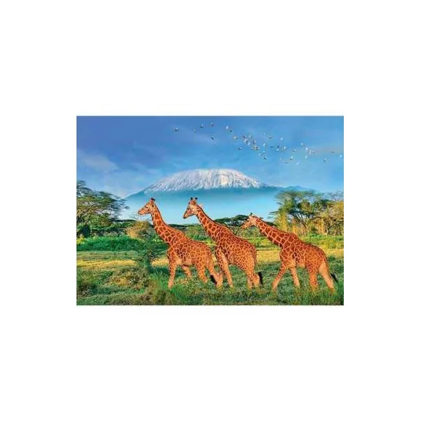 Puzzle Girafes 500 pièces XL - Sentosphère