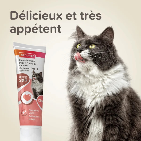 Pâte au saumon spécial beauté du pelage du chat - 100 g