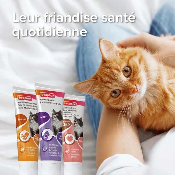 Pâte au saumon spécial beauté du pelage du chat - 100 g