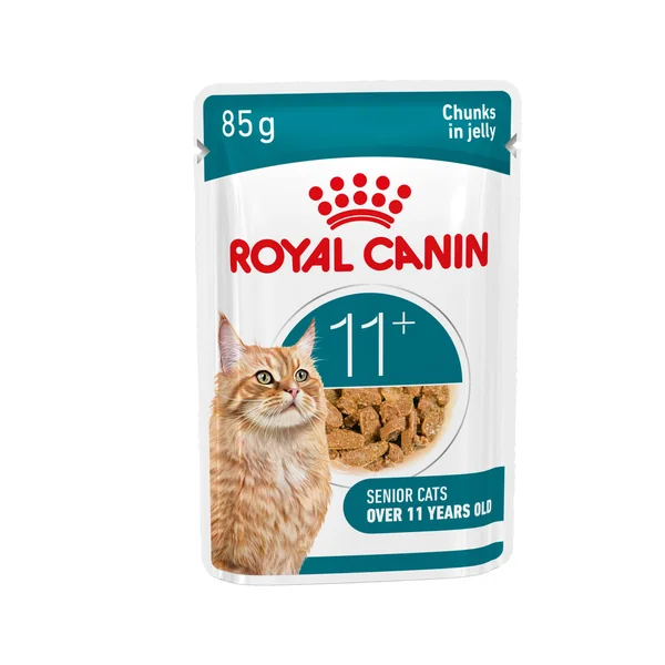 Royal Canin Ageing 11+ in Jelly - Nourriture pour chats