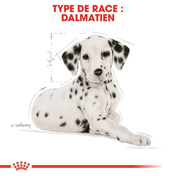 Royal Canin Dalmatian Puppy