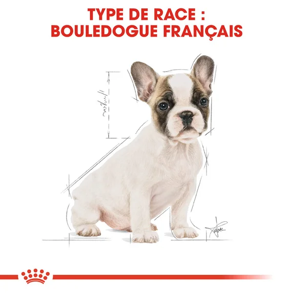 Royal Canin French Bulldog Puppy