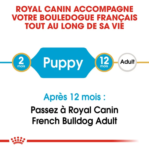 Royal Canin French Bulldog Puppy
