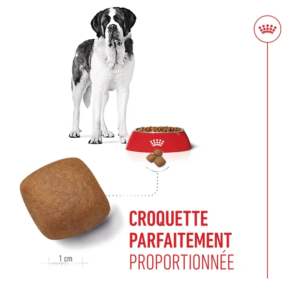 Royal Canin Giant Junior