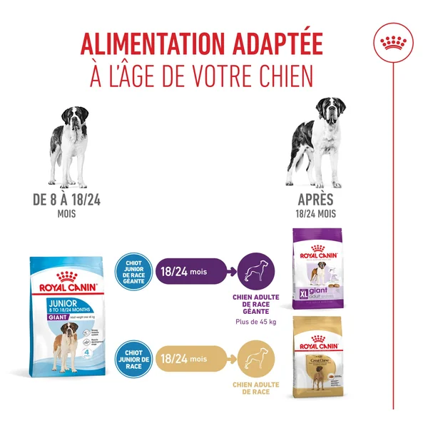 Royal Canin Giant Junior