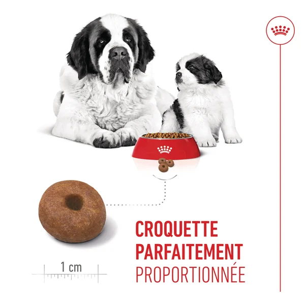 Royal Canin Giant Starter Mother & Babydog