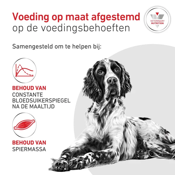 Royal Canin Glycobalance Chien