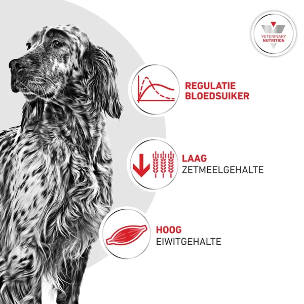 Royal Canin Glycobalance Chien