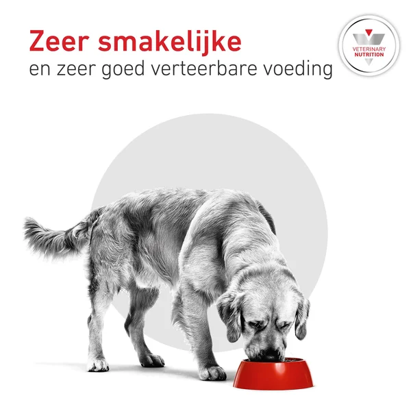 Royal Canin Glycobalance Chien