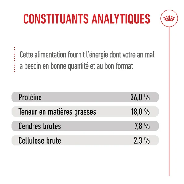 Royal Canin Kitten