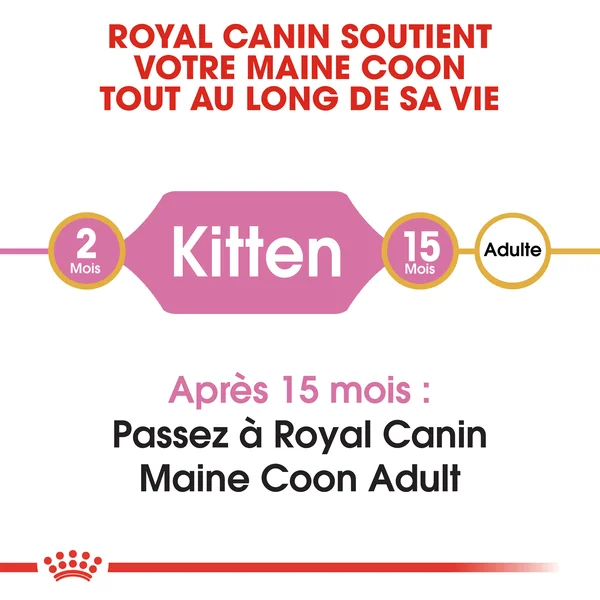Royal Canin Maine Coon Kitten