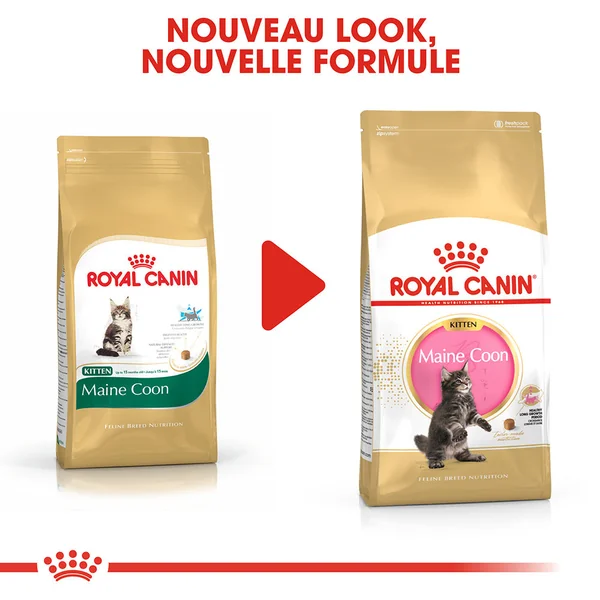 Royal Canin Maine Coon Kitten