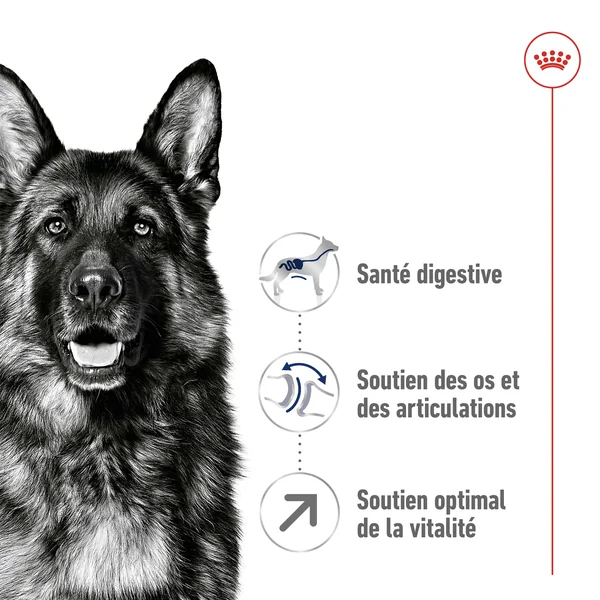 Royal Canin Maxi Adult 5+