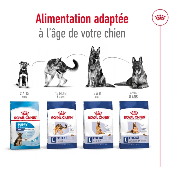 Royal Canin Maxi Adult 5+