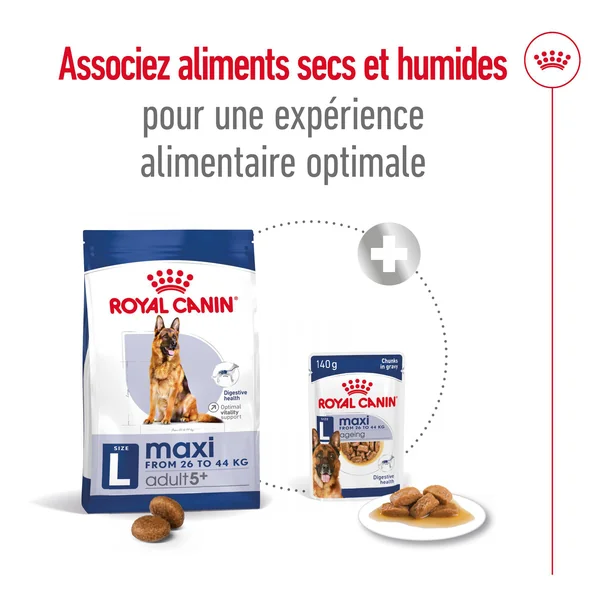 Royal Canin Maxi Adult 5+