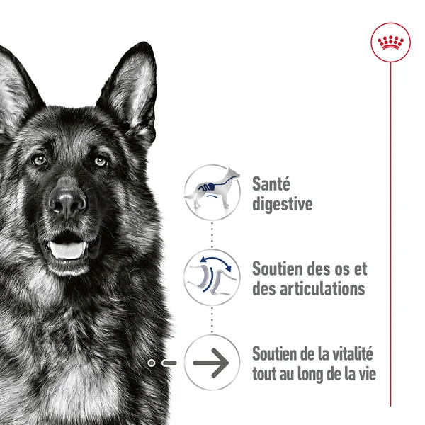 Royal Canin Maxi Ageing 5+ - Sachet