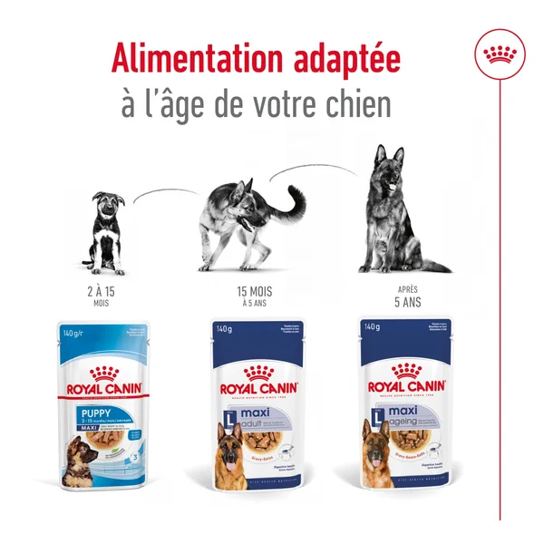 Royal Canin Maxi Ageing 5+ - Sachet