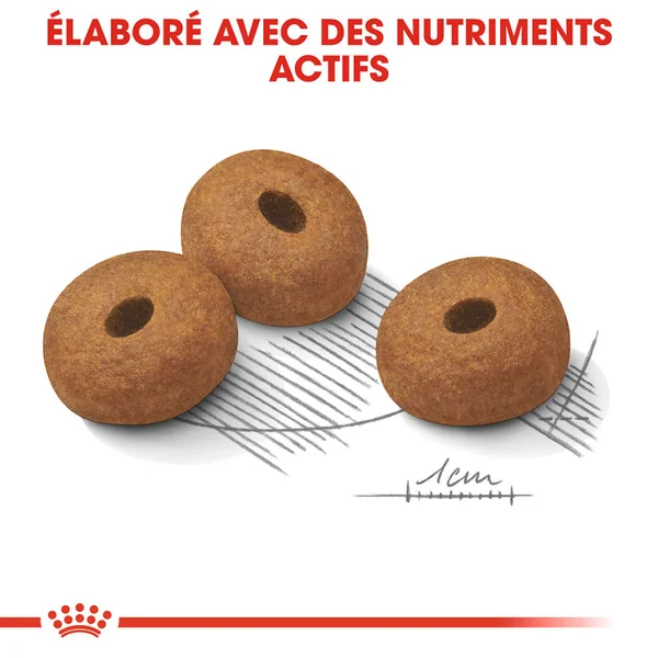 Royal Canin Maxi Light Weight Care