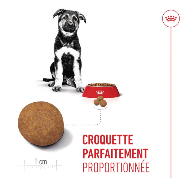 Royal Canin Maxi Puppy
