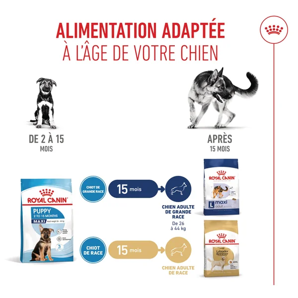 Royal Canin Maxi Puppy