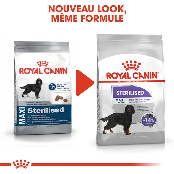 Royal Canin Maxi Sterilised