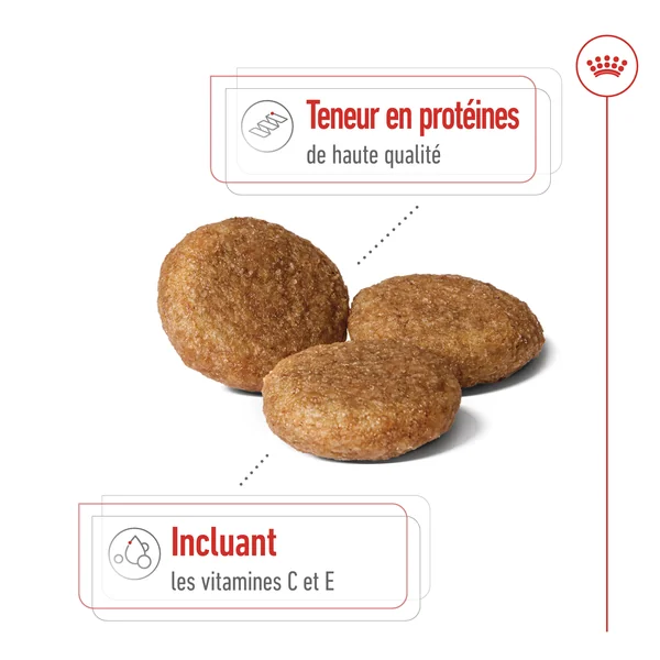 Royal Canin Medium Adult 7+
