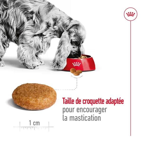 Royal Canin Medium Adult 7+