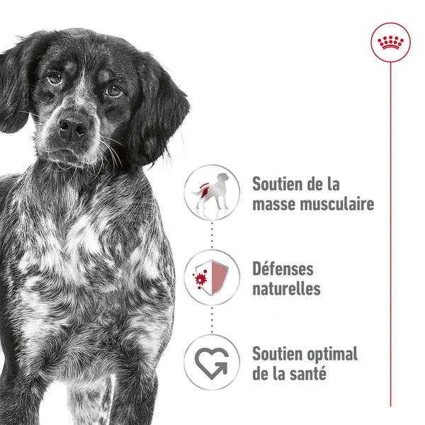 Royal Canin Medium Adult - Sachet