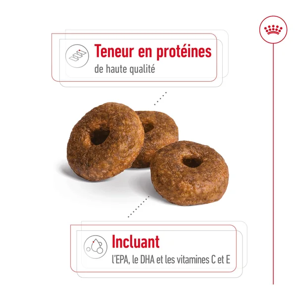 Royal Canin Medium Ageing 10+