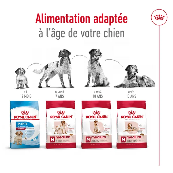 Royal Canin Medium Ageing 10+